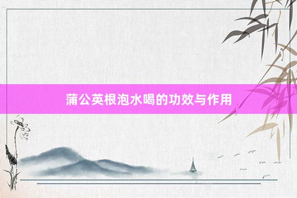 蒲公英根泡水喝的功效与作用