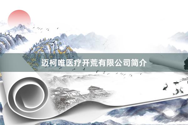 迈柯唯医疗开荒有限公司简介